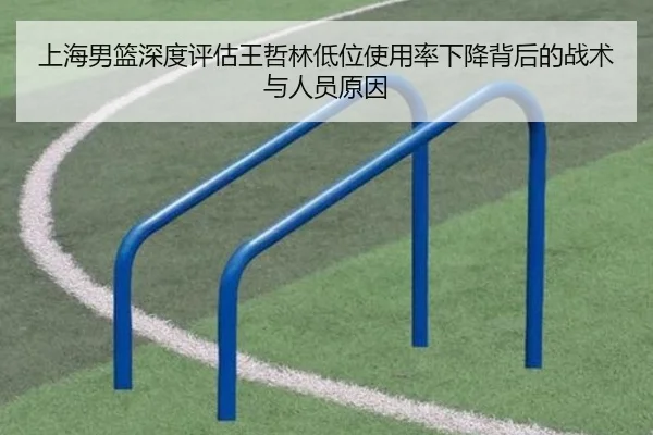 上海男篮深度评估王哲林低位使用率下降背后的战术与人员原因